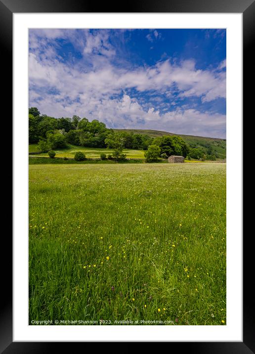 Wild Flower Meadow, Muker, Swaledale Framed Mounted Print by Michael Shannon