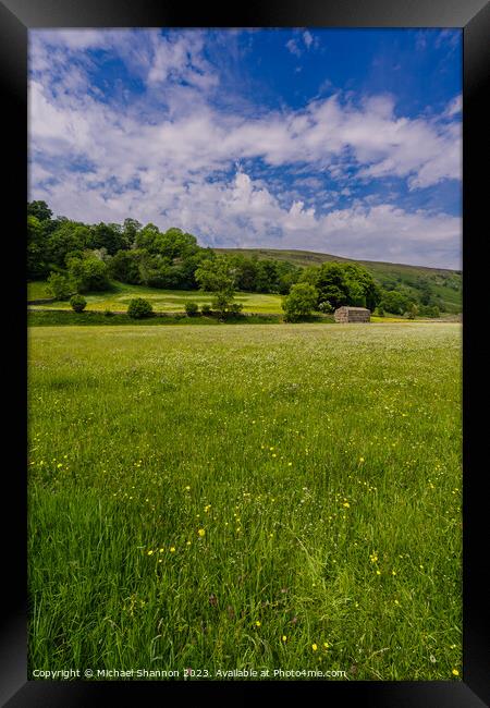 Wild Flower Meadow, Muker, Swaledale Framed Print by Michael Shannon