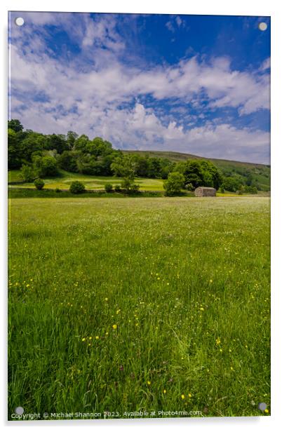 Wild Flower Meadow, Muker, Swaledale Acrylic by Michael Shannon