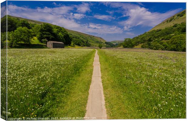 Path through the wild flower meadows, Swaledale Canvas Print by Michael Shannon