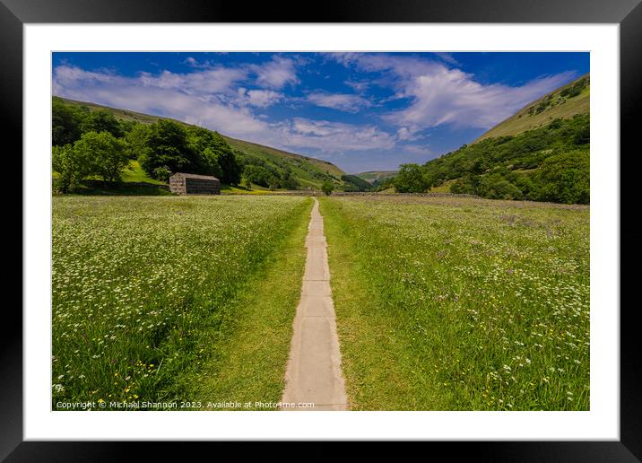 Path through the wild flower meadows, Swaledale Framed Mounted Print by Michael Shannon