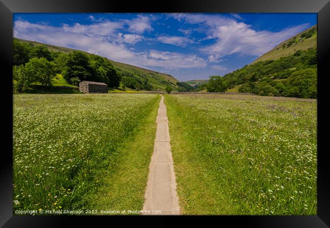 Path through the wild flower meadows, Swaledale Framed Print by Michael Shannon
