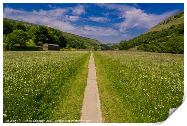 Path through the wild flower meadows, Swaledale Print by Michael Shannon