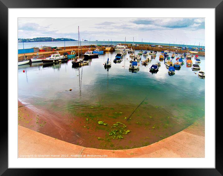 Fish Eyed View of Paignton Harbour Framed Mounted Print by Stephen Hamer