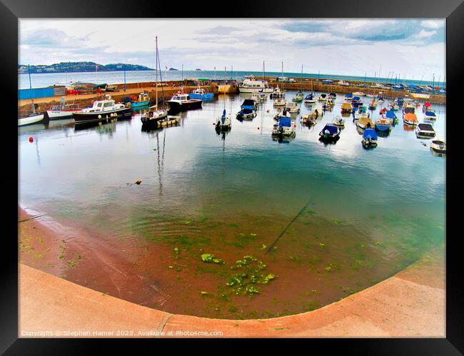 Fish Eyed View of Paignton Harbour Framed Print by Stephen Hamer