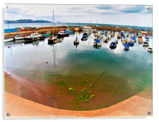 Fish Eyed View of Paignton Harbour Acrylic by Stephen Hamer