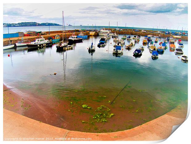 Fish Eyed View of Paignton Harbour Print by Stephen Hamer