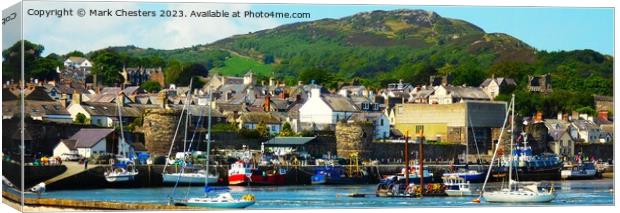 Conwy Town Canvas Print by Mark Chesters