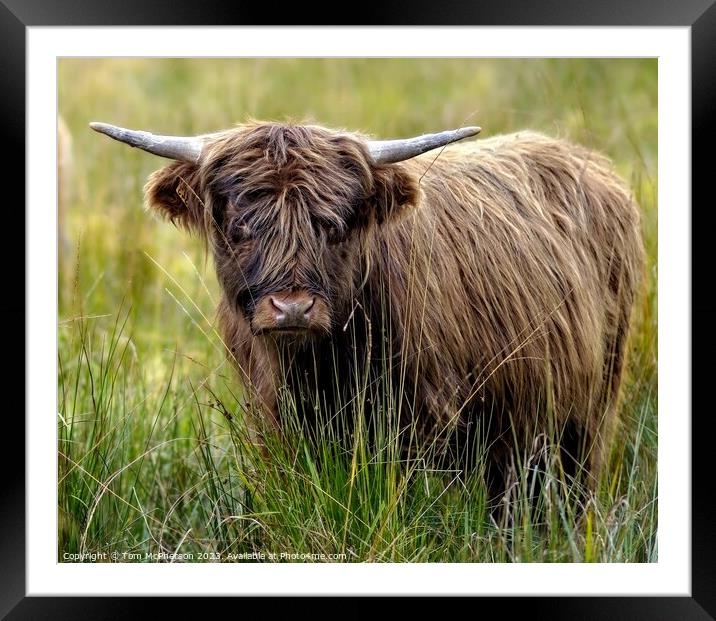 A Serene Beauty in Scottish Highlands Framed Mounted Print by Tom McPherson