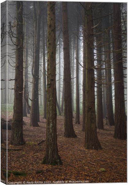 Forest with fog in Sintra Canvas Print by Paulo Rocha