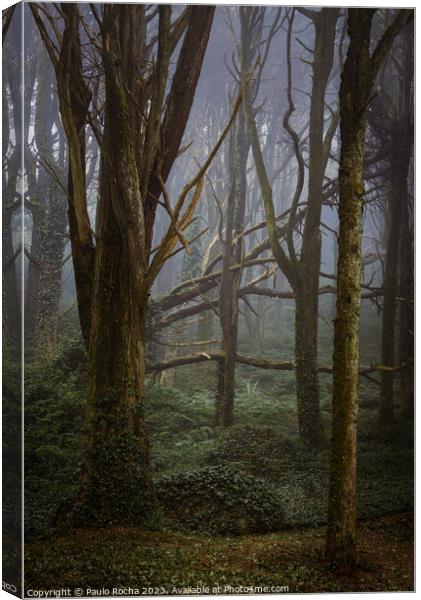 Morning fog in forest and fallen tree Canvas Print by Paulo Rocha