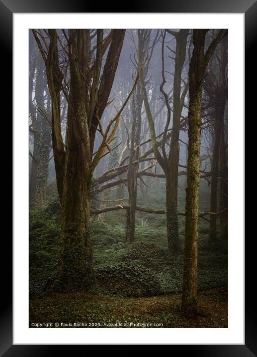 Morning fog in forest and fallen tree Framed Mounted Print by Paulo Rocha