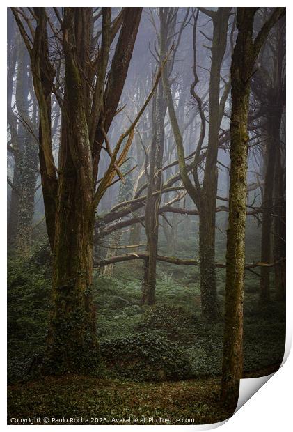 Morning fog in forest and fallen tree Print by Paulo Rocha