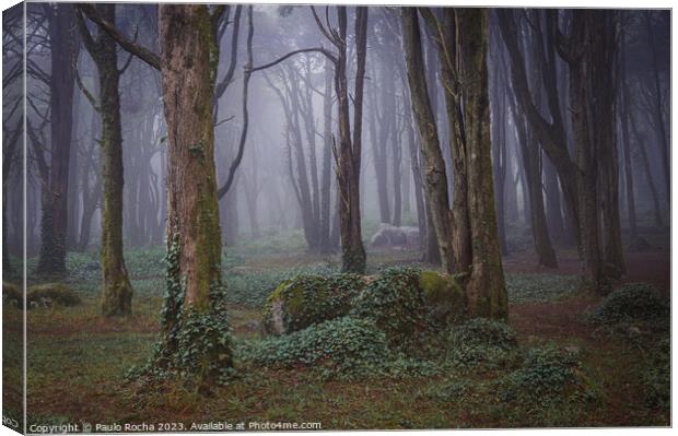 Misty forest with mossy rocks and trees Canvas Print by Paulo Rocha