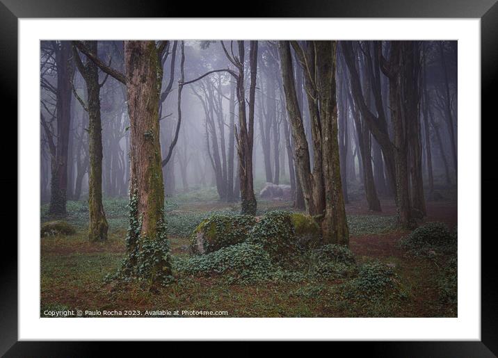 Misty forest with mossy rocks and trees Framed Mounted Print by Paulo Rocha