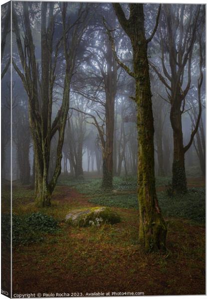 Misty forest with mossy rocks and trees Canvas Print by Paulo Rocha