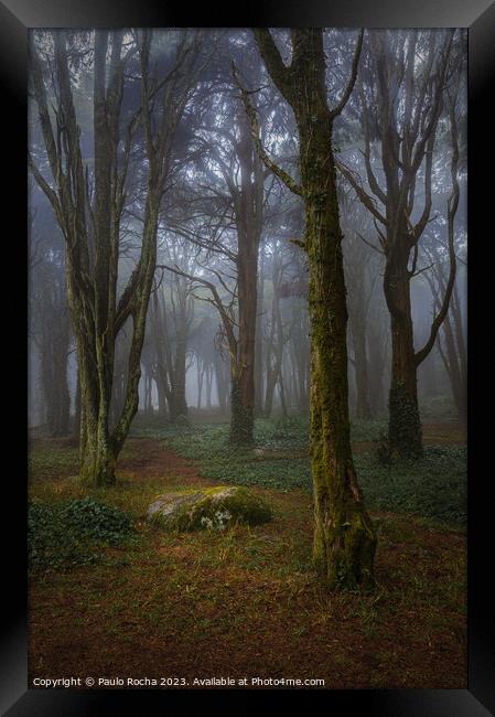 Misty forest with mossy rocks and trees Framed Print by Paulo Rocha