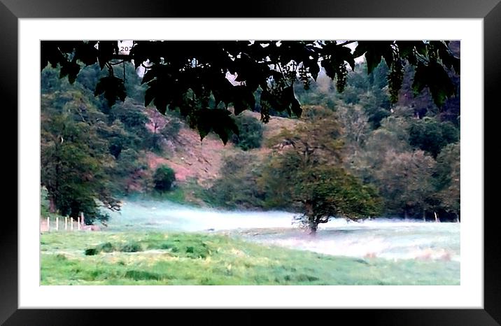 Morning Mist Framed Mounted Print by Neil Brown