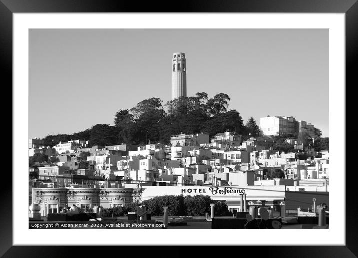 Colt Tower in San Francisco Cityscape  Framed Mounted Print by Aidan Moran