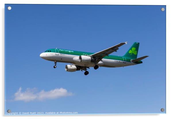 Aer Lingus A320-214     Acrylic by David Pyatt