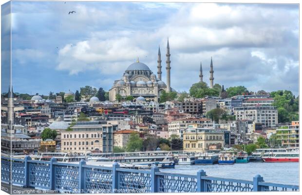 Bridge Blue Mosque Bosphorus Istanbul Turkey Canvas Print by William Perry
