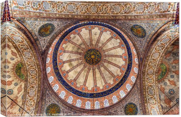 Blue Mosque Basilica Domes Istanbul Turkey Canvas Print by William Perry