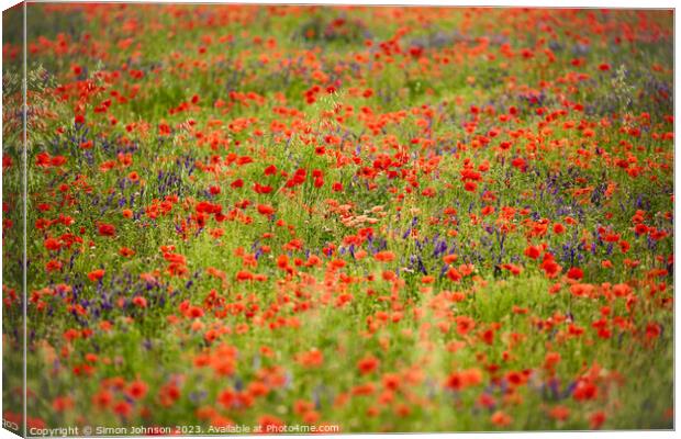wild flower meadow Canvas Print by Simon Johnson