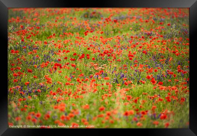 wild flower meadow Framed Print by Simon Johnson
