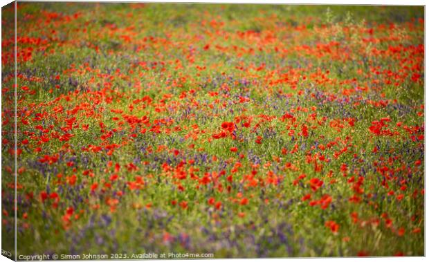 wild flower meadow Canvas Print by Simon Johnson