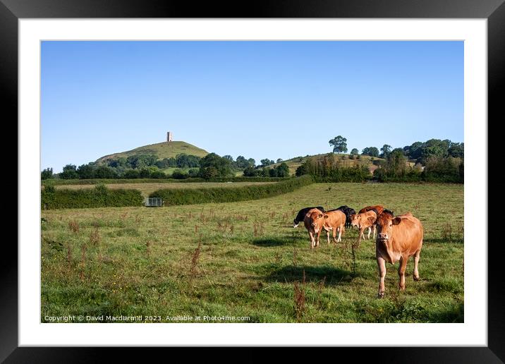Over the pasture to the Tor Framed Mounted Print by David Macdiarmid