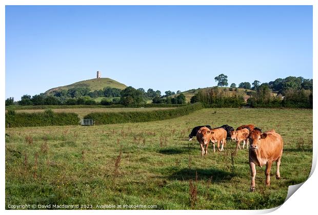 Over the pasture to the Tor Print by David Macdiarmid