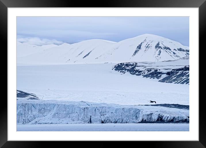 Tunabreen Glacier from Tempelfjorden on Svalbard Framed Mounted Print by Martyn Arnold