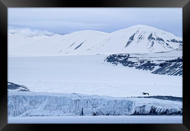 Tunabreen Glacier from Tempelfjorden on Svalbard Framed Print by Martyn Arnold