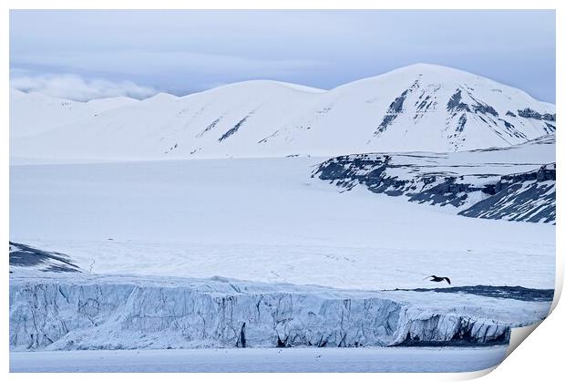 Tunabreen Glacier from Tempelfjorden on Svalbard Print by Martyn Arnold