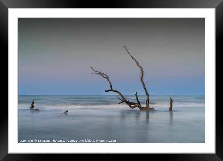 The Boneyard 23/7 Framed Mounted Print by DiFigiano Photography