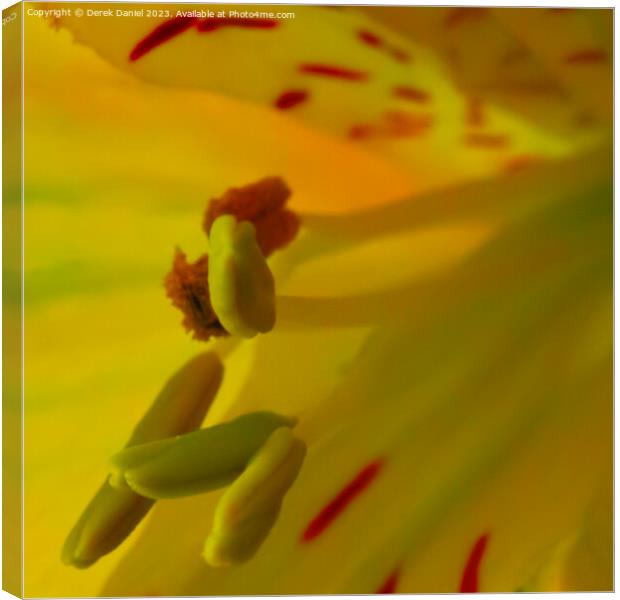 "Ethereal Bloom: A Captivating Floral Close-up" Canvas Print by Derek Daniel