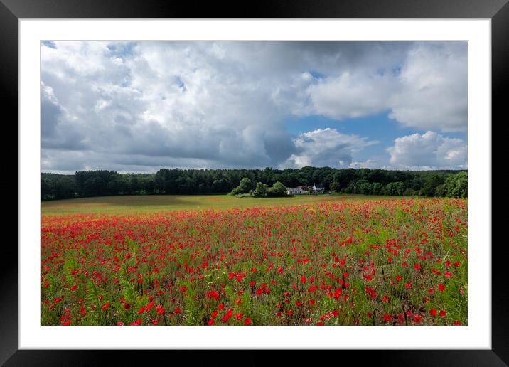 English Poppy Field Framed Mounted Print by Apollo Aerial Photography