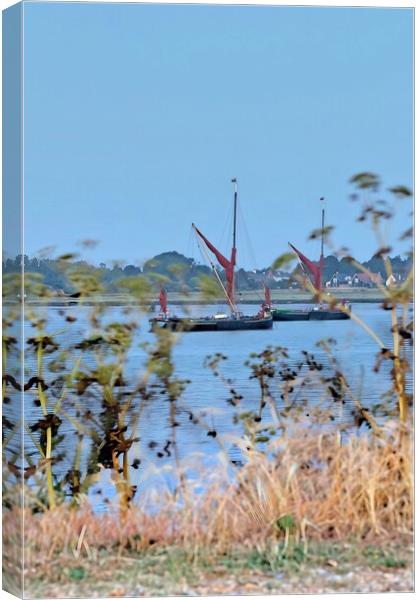 Barges anchord of Brightlingsea.  Canvas Print by Tony lopez