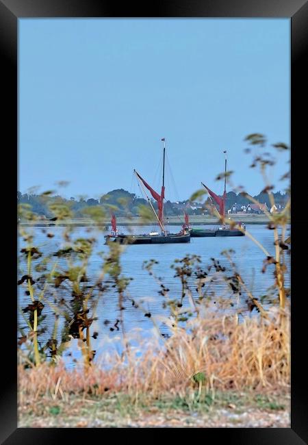Barges anchord of Brightlingsea.  Framed Print by Tony lopez