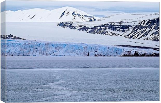 Silent, Serene, Snowy Arctic Landscape Spitsbergen Canvas Print by Martyn Arnold