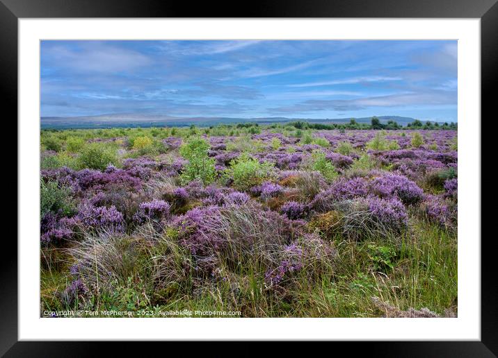 The Final Clash on Culloden Moor Framed Mounted Print by Tom McPherson