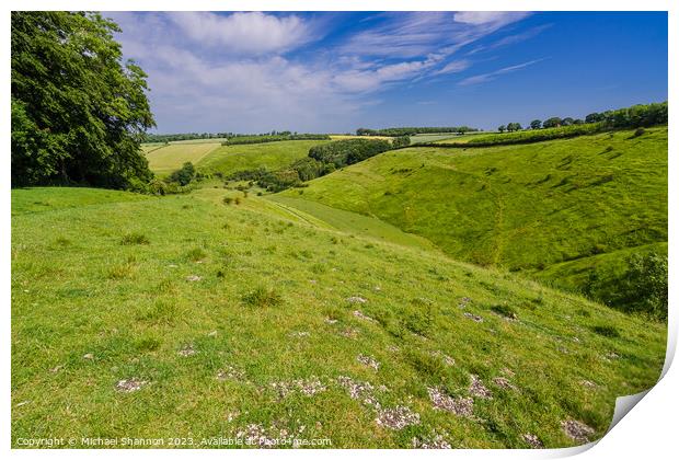 Painsthorpe Dale in the Yorkshire Wolds Print by Michael Shannon