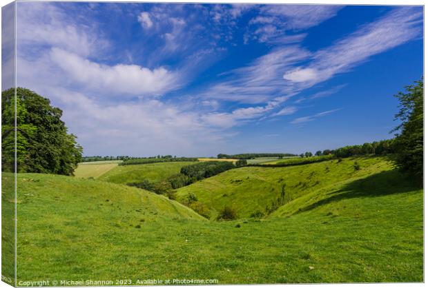 Painsthorpe Dale in the Yorkshire Wolds Canvas Print by Michael Shannon