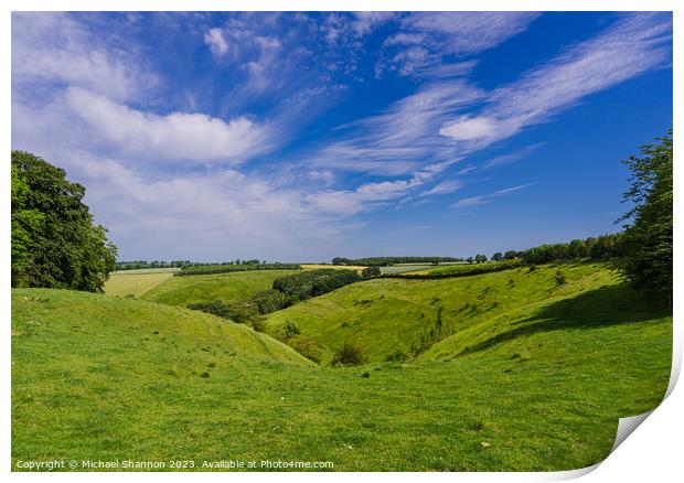 Painsthorpe Dale in the Yorkshire Wolds Print by Michael Shannon