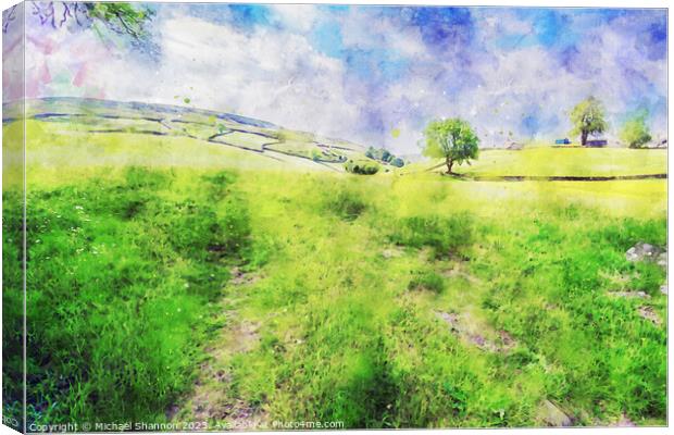 Swaledale scenery near Keld, Yorkshire Dales Natio Canvas Print by Michael Shannon