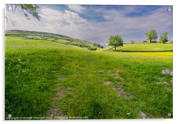 Swaledale scenery near Keld, Yorkshire Dales Natio Acrylic by Michael Shannon