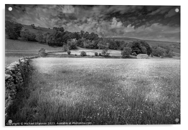 Swaledale, Wild Flower Meadow Acrylic by Michael Shannon