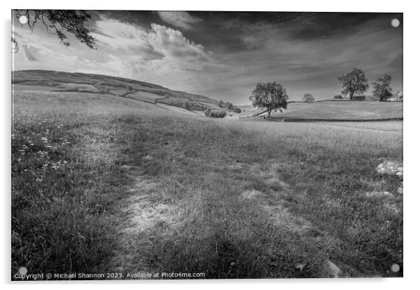 Swaledale scenery near Keld, Yorkshire Dales Natio Acrylic by Michael Shannon