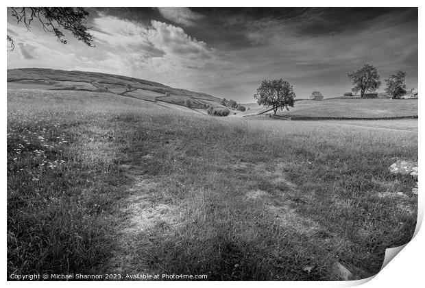 Swaledale scenery near Keld, Yorkshire Dales Natio Print by Michael Shannon