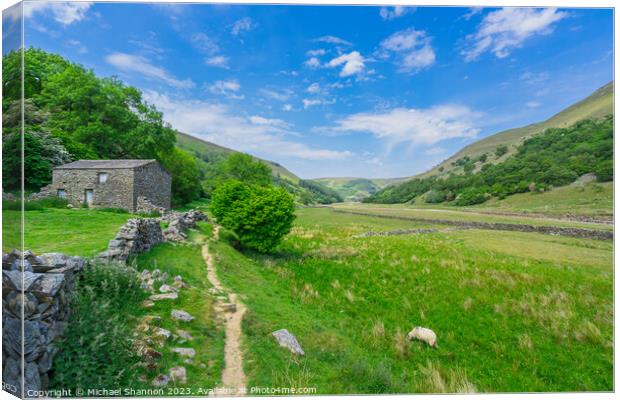 Tranquil Pathway in Swaledale's Breathtaking Lands Canvas Print by Michael Shannon